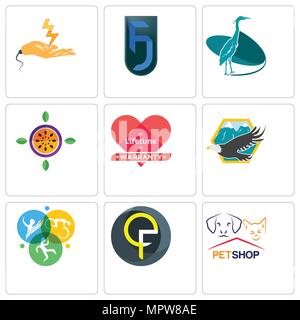 Satz von 9 einfache editierbare Ikonen wie Petshop, qf, Swim bike Run, Adler, lebenslange Garantie, Passionsfrucht, Reiher, jf, Elektrofirma, können u Stock Vektor