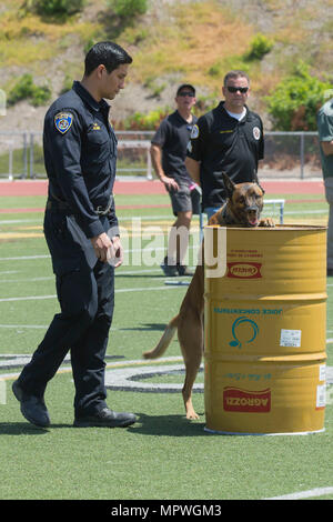 Polizist Marc Lugo, Bakersfield Polizei Abteilung Hundestaffel, durchzieht seine Hunde, Kyro, ein Hindernis für die 1. jährlichen Stadt von Oceanside öffentliche Sicherheit Messe am El Camino High School Football-Feld in Oceanside, Kalifornien, 22. April 2017. (Foto: U.S. Marine Corps Lance Cpl. Brooke Woods) Stockfoto