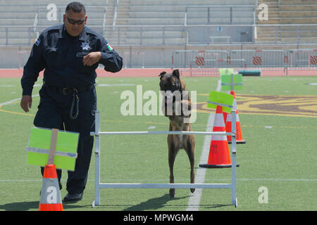 Polizeichef Basilio Quiroga, Abteilung von Mexiko Polizei Hundestaffel, läuft seine Hunde, Definin, durch ein Hindernis für die 1. jährlichen Stadt von Oceanside öffentliche Sicherheit Messe am El Camino High School Football Feld in Oceanside, Kalifornien, 22. April 2017. (Foto: U.S. Marine Corps Lance Cpl. Brooke Woods) Stockfoto