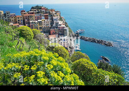 Schöne Aussicht von Manarola Stadt. Ist eine von fünf berühmten bunten Dörfer der Cinque Terre Nationalpark in Italien Stockfoto