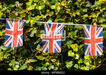 Union Jack Bunting über eine Hecke. Stockfoto