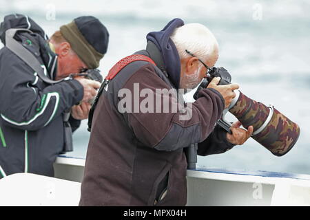 Naturfotografen fotografieren Delfine aus Schiff auf See, in der Biskaya kann Stockfoto