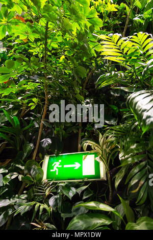 Grün leuchtende Ausfahrt auf lebende grüne Wand, Vertikaler Garten Stockfoto