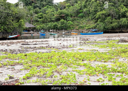 Lokale bangka Boote auf dem sandigen-sumpfigen Bach an der Rückseite des Sugar Beach in barangay Nauhang verbindet die Küste mit dem Rest der Gemeinde. S Stockfoto