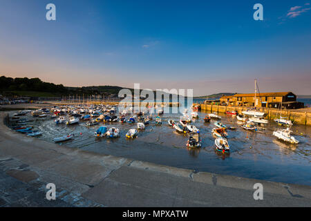 Am späten Abend Sonnenschein und blauer Himmel im Cobb Hafen in Lyme Regis auf der Jurassic Coast von Dorset am 23. Mai 2018. Foto: Graham Jagd-/ Stockfoto