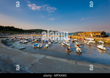 Am späten Abend Sonnenschein und blauer Himmel im Cobb Hafen in Lyme Regis auf der Jurassic Coast von Dorset am 23. Mai 2018. Foto: Graham Jagd-/ Stockfoto