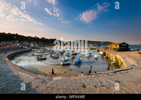 Am späten Abend Sonnenschein und blauer Himmel im Cobb Hafen in Lyme Regis auf der Jurassic Coast von Dorset am 23. Mai 2018. Foto: Graham Jagd-/ Stockfoto