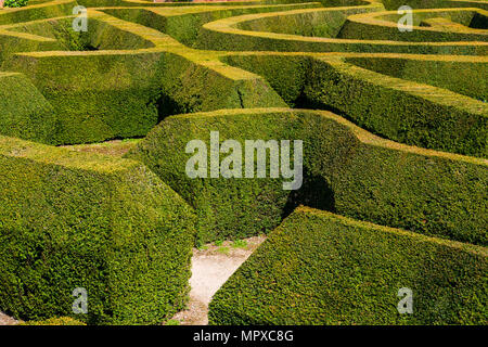 Das Labyrinth an Blenheim Palace Stockfoto