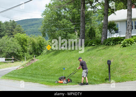 Ein aktiver älterer Mann mäht seinen Rasen. Stockfoto