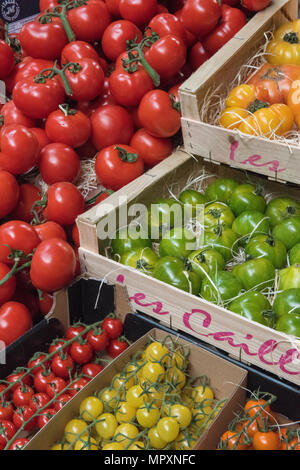 Eine Auswahl an schönen bunten frisch gepflückte Tomaten in Holzkisten auf einem Marktstand. Gesunde Ernährung und Farben und Arten der Tomate. Rot. Stockfoto