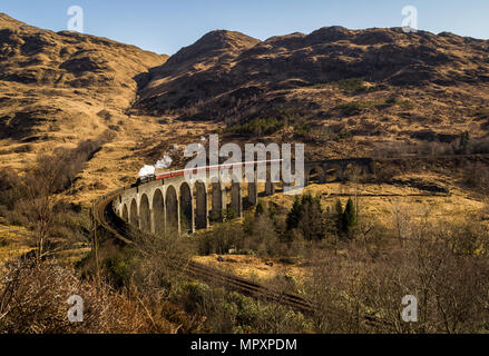 Die Jacobite Steam Train crossing Das Glenfinnan Viadukt an einem hellen, sonnigen Morgen. Stockfoto