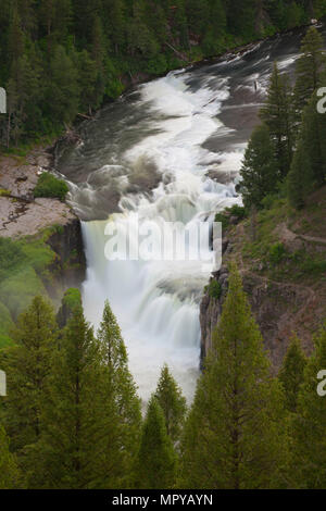 Untere Mesa fällt, Mesa Fällen Scenic Byway, Targhee National Forest, Idaho Stockfoto