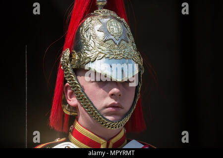 Household Cavalry in Horse Guards Parade Stockfoto