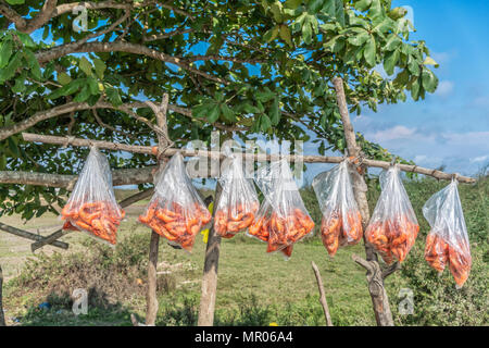 Afrikanische Straße, der Verkauf von Garnelen. Stockfoto