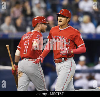 Toronto, Ontario, Kanada. 23 Mai, 2018. Los Angeles Engel Designated Hitter Shohei Ohtani (R) feiert mit Mannschaftskameraden Zack Cozart nach Zählen auf ein RBI double von Andrelton Simmons (nicht abgebildet) im neunten Inning in der Major League Baseball Spiel gegen die Toronto Blue Jays in der Rogers Centre in Toronto, Ontario, Kanada, 23. Mai 2018. Quelle: LBA/Alamy leben Nachrichten Stockfoto