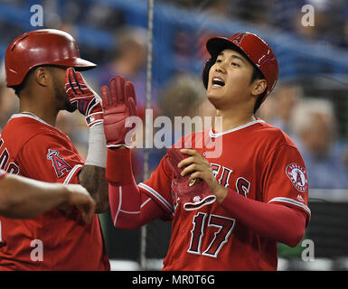 Toronto, Ontario, Kanada. 23 Mai, 2018. Los Angeles Engel Designated Hitter Shohei Ohtani (R) feiert mit Teamkollegen Martin Maldonado im dugout nach Zählen auf ein RBI double von Andrelton Simmons (nicht abgebildet) im neunten Inning in der Major League Baseball Spiel gegen die Toronto Blue Jays in der Rogers Centre in Toronto, Ontario, Kanada, 23. Mai 2018. Quelle: LBA/Alamy leben Nachrichten Stockfoto