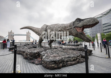 London, Großbritannien. 25. Mai 2018. Ein Modell der Tyrannosaurus Rex im London Bridge fördert 'Jurassic Welt: Gefallene Königreich" Film öffnen. Credit: Guy Corbishley/Alamy leben Nachrichten Stockfoto