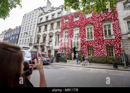 London, Großbritannien. 25. Mai 2018. Annabel private Mitglieder Club in Mayfair, derzeit mit Tausenden von Blumen zeitlich mit der RHS Chelsea Flower Show zu Decken geschmückt. Credit: Guy Corbishley/Alamy leben Nachrichten Stockfoto