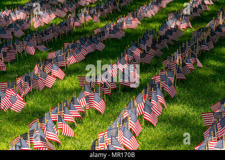 New York, USA, 25. Mai 2018. Hunderte von American Flags sind auf Veteran's Rasen zum Memorial Day im Madison Square Park über 100.000 gefallenen Soldaten, am Freitag gesehen zu Ehren, 25. Mai 2018. Die "gefallenen Soldaten Flagge Garten' belegt zwei Rasen im Park und jede Fahne steht für 10 Soldaten mit 10.000 gepflanzt Fahnen. Die Installation wurde von der Madison Square Park Conservancy und Credit Suisse erstellt und ist bis zum 29. Credit: Richard Levine/Alamy leben Nachrichten Stockfoto