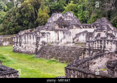 Blick auf die Maya Ruinen von Tikal, in der Nähe von Flores, Guatemala Stockfoto