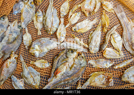 Fisch trocken und sonnig auf schwarzer Holzfußboden, kleinen getrockneten Fisch und Muster des getrockneten Fisch, Ansicht von oben trocken Fisch auf dem Tisch Stockfoto