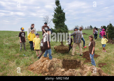 Pfadfinder aus Fort Drum Pack 26 machen Sie sich bereit, eine große Spruce Tree in Zenda Betriebe erhalten auf der Arbor Day", 29. April zu pflanzen. Die Pfadfinder und deren Familien im Falle wie ihre Gemeinschaft service Projekt teilgenommen haben. Stockfoto