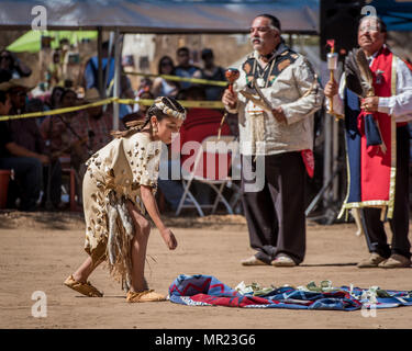 Eine junge chumasch Native American Girl spendet Geld an der jährlichen Chumasch Pow Wow sammeln in Live Oak Camp in Santa Ynez Kalifornien. Stockfoto