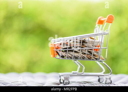 Mini Warenkorb mit Münzen in Grün bokeh Hintergrund. Finanzen und Geld sparen. Stockfoto