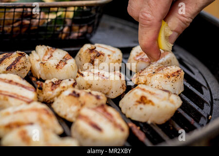 Köstliche sizzling Jakobsmuscheln Grillen auf einem Holzkohlegrill Stockfoto