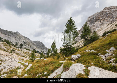 Tal der sieben Seen im Triglav National Park im Sommer, Slowenien Stockfoto