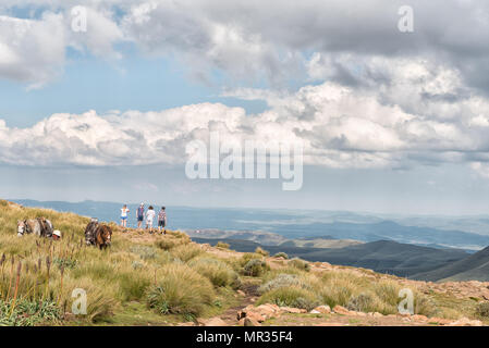 SANI TOP, LESOTHO - MÄRZ 24, 2018: Unbekannter Touristen am Rande der Drakensberge im Sani Mountain Lodge an der Oberseite der Sani Stockfoto