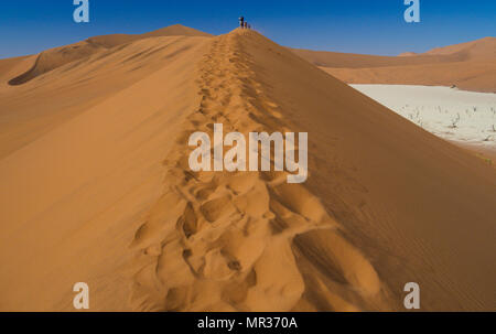 Big Daddy Sanddüne, Dead Vlei Sossusviei Nationalpark Namibia Stockfoto