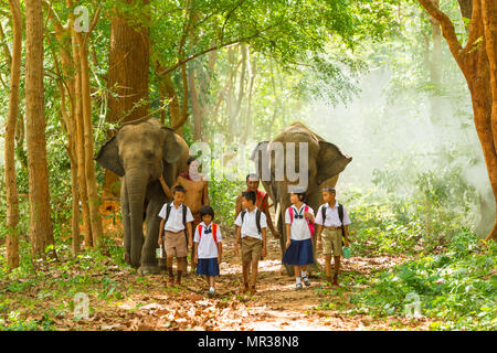 Surin, Thailand - 25. Juni 2016: Mahouts und Studenten in Uniform zu Fuß zusammen mit Elefanten auf Gehweg in Wald in Surin, Thailand Stockfoto