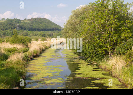 Pant y Orkb Naturschutzgebiet und die Tennant Canal, Jersey Marine, in der Nähe von Swansea, Glamorgan, Wales, Großbritannien Stockfoto