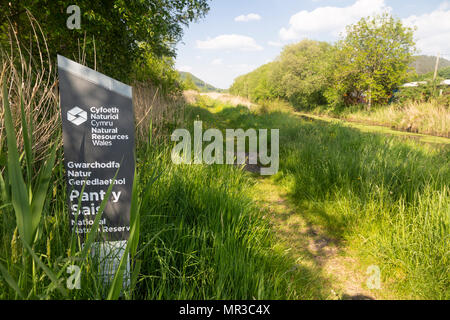 Pant y Orkb Naturschutzgebiet und die Tennant Canal, Jersey Marine, in der Nähe von Swansea, Glamorgan, Wales, Großbritannien Stockfoto