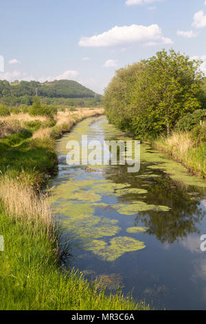 Pant y Orkb Naturschutzgebiet und die Tennant Canal, Jersey Marine, in der Nähe von Swansea, Glamorgan, Wales, Großbritannien Stockfoto