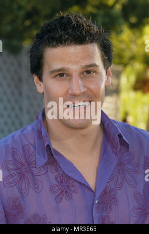 David Boreanaz anreisen, bei der Premiere von 'Austin Powers in Goldmember" an der Universal Amphitheater in Los Angeles. Juli 22, 2002. BoreanazDavid 22 Red Carpet Event, Vertikal, USA, Filmindustrie, Prominente, Fotografie, Bestof, Kunst, Kultur und Unterhaltung, Topix Prominente Fashion/Vertikal, Besten, Event in Hollywood Leben - Kalifornien, Roter Teppich und backstage, USA, Film, Stars, Film Stars, TV Stars, Musik, Promis, Fotografie, Bestof, Kunst, Kultur und Unterhaltung, Topix, headshot, vertikal, eine Person aus dem Jahr 2002, Anfrage tsuni@Gam Stockfoto