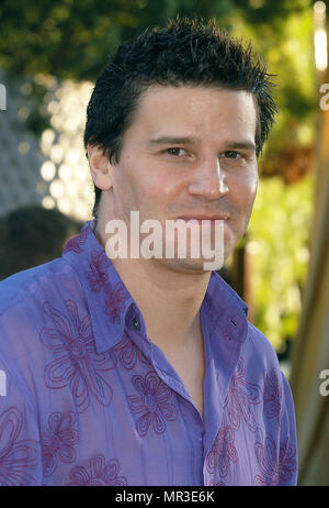 David Boreanaz anreisen, bei der Premiere von 'Austin Powers in Goldmember" an der Universal Amphitheater in Los Angeles. Juli 22, 2002. BoreanazDavid 50 Red Carpet Event, Vertikal, USA, Filmindustrie, Prominente, Fotografie, Bestof, Kunst, Kultur und Unterhaltung, Topix Prominente Fashion/Vertikal, Besten, Event in Hollywood Leben - Kalifornien, Roter Teppich und backstage, USA, Film, Stars, Film Stars, TV Stars, Musik, Promis, Fotografie, Bestof, Kunst, Kultur und Unterhaltung, Topix, headshot, vertikal, eine Person aus dem Jahr 2002, Anfrage tsuni@Ga Stockfoto