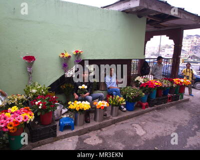 Sikkim Menschen vor Ort, die Blumen auf dem Markt, Gangtok, Sikkim, Indien, 16. APRIL 2013. Stockfoto