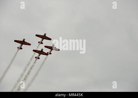 Aeroshell Aerobatic Team Piloten fliegen North American AT-6 Texans in einer Formation während der South Carolina National Guard Luft und Boden-Expo auf McEntire Joint National Guard Base, South Carolina, 5. Mai 2017. Diese Expo ist eine kombinierte Waffen Demonstration der Fähigkeiten von South Carolina National Guard Flieger und Soldaten beim sagen Danke für die Unterstützung der Kolleginnen und Kollegen SüdCarolinians und den umliegenden Gemeinden präsentiert. (Foto: U.S. Air Force Airman 1st Class Kathryn R.C. Reaves) Stockfoto