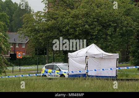 Die Szene in Lowedges Straße in Sheffield, South Yorkshire, wo ein Mord Untersuchung eingeleitet, nachdem ein 15-jähriger Junge am Donnerstag starb nach einem Stechen. Stockfoto