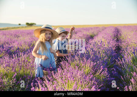 Schwester mit zwei Brüder wandern in Lavendelfeld Stockfoto