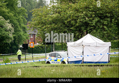 Die Szene in Lowedges Straße in Sheffield, South Yorkshire, wo ein Mord Untersuchung eingeleitet, nachdem ein 15-jähriger Junge am Donnerstag starb nach einem Stechen. Stockfoto