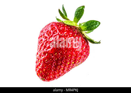 Raw organic Erdbeere, auf weißem Hintergrund Reif Stockfoto
