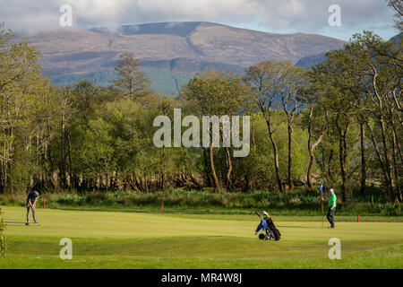 Zwei Golfer, die Golf auf einem Golfplatz mit malerischer Landschaft spielen, Golf and Fishing Club, Fossa, Killarney National Park, County Kerry, Irland Stockfoto