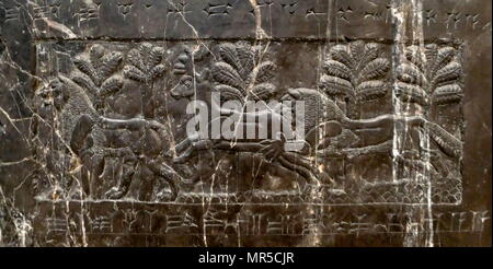 Detail aus der schwarze Obelisk, von Salmanassar III. Eine schwarze Kalkstein Assyrische Skulptur mit Szenen in Reliefs und Inschriften. Es kommt von Nimrud (antike Kalhu), im Norden des Irak, und erinnert an die Taten des Königs Salmanassar III (regierte 858-824 v. Chr.). Stockfoto