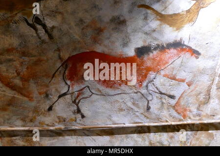 Replica Malerei aus der Höhle von Altamira (Cueva de Altamir) in der Nähe der historischen Stadt Santillana del Mar in Kantabrien, Spanien gelegen, ist für seine zahlreichen parietalen Höhlenmalereien mit kohlezeichnungen und polychrome Gemälde zeitgenössischer Flora und menschliche Hände, zwischen 18.500 und 14.000 Jahren während der jungpaläolithikum Erstellt von Paleo menschlichen Siedler bekannt. Die frühesten Bilder in der Höhle wurden rund 35.600 Jahren ausgeführt. Stockfoto