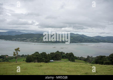 Dunedin, Otago, New Zealand-December 12,2016: Erhöhte Blick über die Halbinsel Otago mit üppigen Berglandschaft und Wolken in Dunedin, Neuseeland Stockfoto