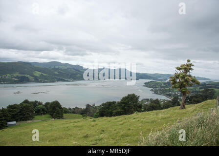 Dunedin, Otago, New Zealand-December 12,2016: Erhöhte Blick über die Halbinsel Otago mit üppigen Berglandschaft und Wolken in Dunedin, Neuseeland Stockfoto