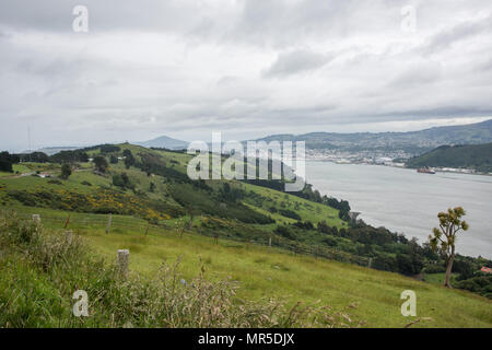 Dunedin, Otago, New Zealand-December 12,2016: Erhöhte Blick über die Halbinsel Otago mit Berglandschaft und direkt am Wasser in Dunedin, Neuseeland Stockfoto